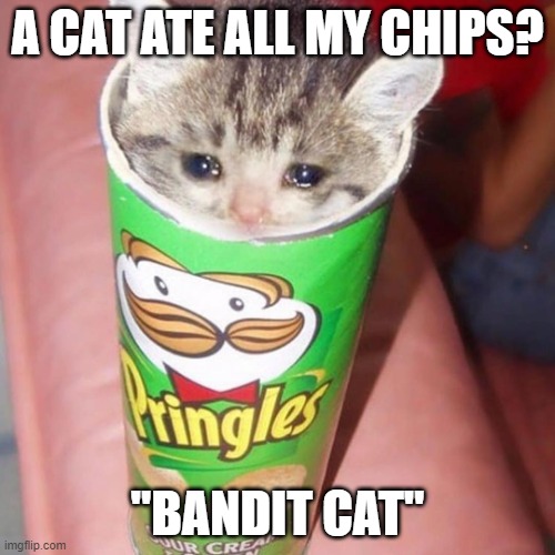 i dont like this cat | A CAT ATE ALL MY CHIPS? "BANDIT CAT" | image tagged in cursed cat | made w/ Imgflip meme maker
