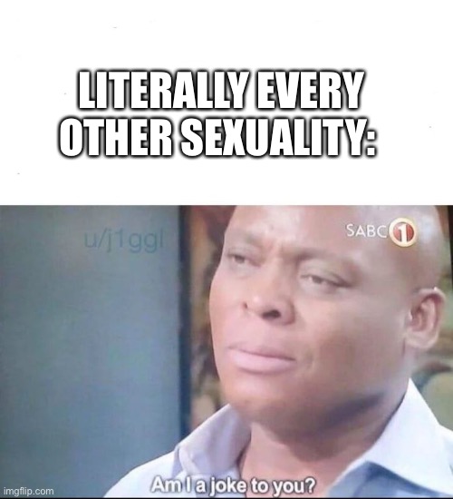 am I a joke to you | LITERALLY EVERY OTHER SEXUALITY: | image tagged in am i a joke to you | made w/ Imgflip meme maker