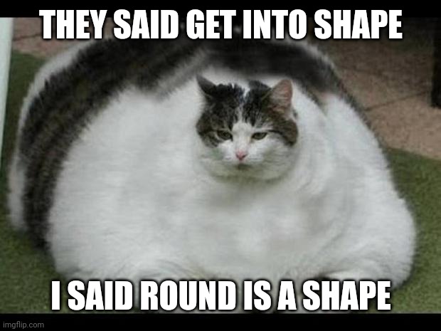 fat cat 2 | THEY SAID GET INTO SHAPE; I SAID ROUND IS A SHAPE | image tagged in fat cat 2 | made w/ Imgflip meme maker