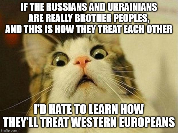 Russia please go home and stay! | IF THE RUSSIANS AND UKRAINIANS ARE REALLY BROTHER PEOPLES, AND THIS IS HOW THEY TREAT EACH OTHER; I'D HATE TO LEARN HOW THEY'LL TREAT WESTERN EUROPEANS | image tagged in frightened cat,russia,ukraine | made w/ Imgflip meme maker