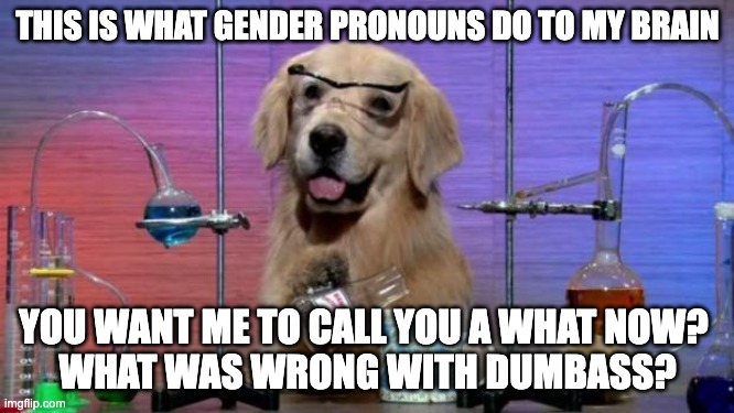 I have no idea what I'm doing dog | THIS IS WHAT GENDER PRONOUNS DO TO MY BRAIN; YOU WANT ME TO CALL YOU A WHAT NOW? 
WHAT WAS WRONG WITH DUMBASS? | image tagged in i have no idea what i'm doing dog | made w/ Imgflip meme maker