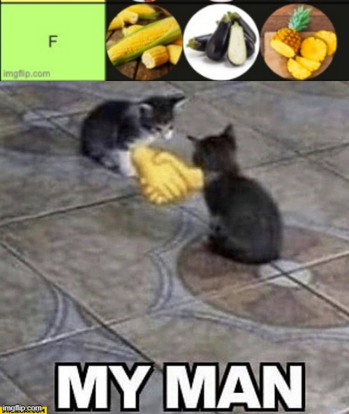 image tagged in cats shaking hands | made w/ Imgflip meme maker