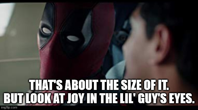 Deadpool movie summaries | THAT'S ABOUT THE SIZE OF IT.
BUT LOOK AT JOY IN THE LIL' GUY'S EYES. | image tagged in deadpool movie summaries | made w/ Imgflip meme maker
