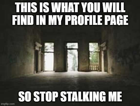 i just need this for my profile page | THIS IS WHAT YOU WILL FIND IN MY PROFILE PAGE; SO STOP STALKING ME | image tagged in crappy memes | made w/ Imgflip meme maker