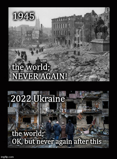 The world; NEVER AGAIN | image tagged in ukraine war | made w/ Imgflip meme maker