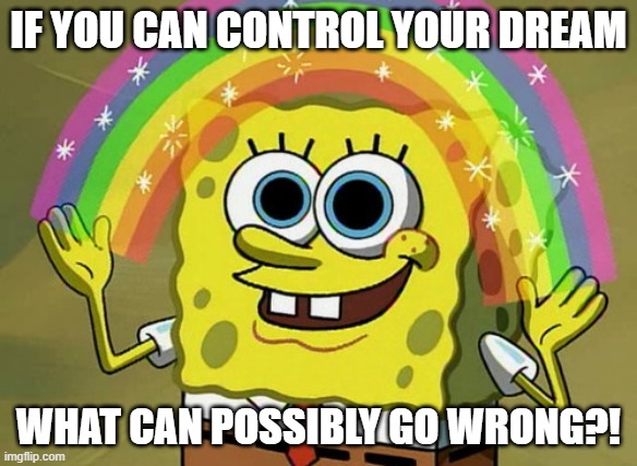 Imagination Spongebob Meme | IF YOU CAN CONTROL YOUR DREAM; WHAT CAN POSSIBLY GO WRONG?! | image tagged in memes,imagination spongebob | made w/ Imgflip meme maker