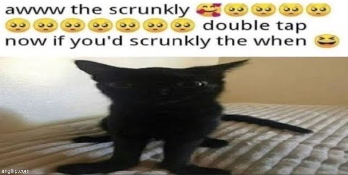 Ngl scrunkly kinda looks like star walker from deltarune | made w/ Imgflip meme maker