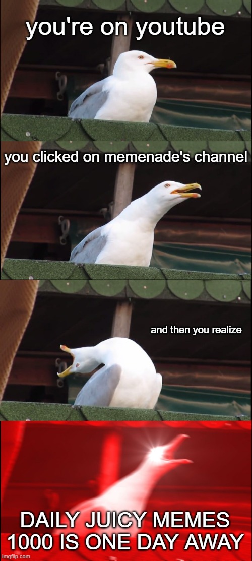 Inhaling Seagull | you're on youtube; you clicked on memenade's channel; and then you realize; DAILY JUICY MEMES 1000 IS ONE DAY AWAY | image tagged in memes,inhaling seagull | made w/ Imgflip meme maker