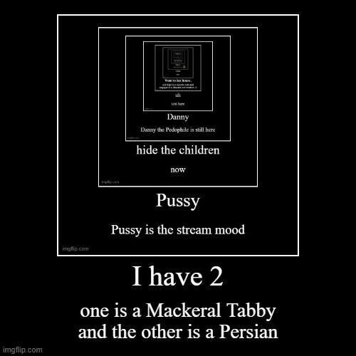 catto | image tagged in funny,demotivationals | made w/ Imgflip demotivational maker