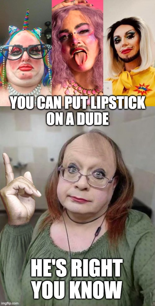 YOU CAN PUT LIPSTICK
ON A DUDE HE'S RIGHT
YOU KNOW | made w/ Imgflip meme maker