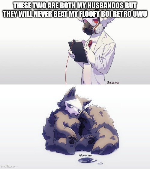 they are cute | THESE TWO ARE BOTH MY HUSBANDOS BUT THEY WILL NEVER BEAT MY FLOOFY BOI RETRO UWU | image tagged in changed,furry,memes | made w/ Imgflip meme maker