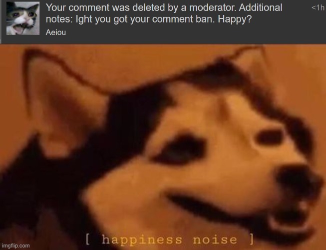 Victory | image tagged in happiness noise | made w/ Imgflip meme maker