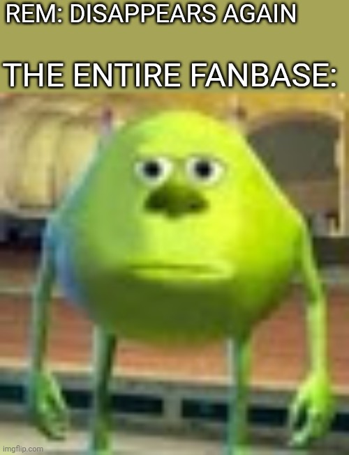 Stop it | REM: DISAPPEARS AGAIN; THE ENTIRE FANBASE: | image tagged in sully wazowski,rem | made w/ Imgflip meme maker