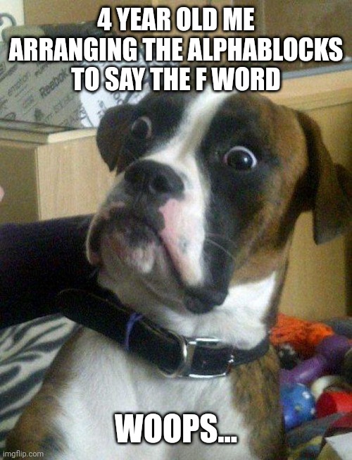 Does anyone remember Alphablocks? |  4 YEAR OLD ME ARRANGING THE ALPHABLOCKS TO SAY THE F WORD; WOOPS... | image tagged in blankie the shocked dog | made w/ Imgflip meme maker