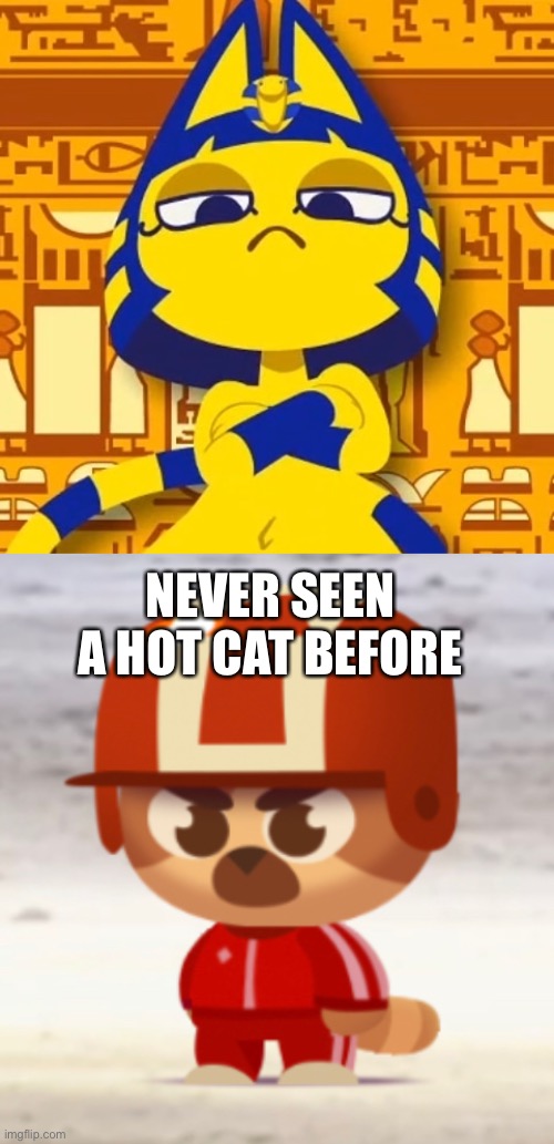 NEVER SEEN A HOT CAT BEFORE | image tagged in zone ankha | made w/ Imgflip meme maker