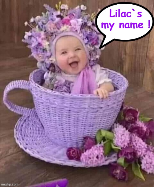 Lilac | Lilac`s
my name ! | image tagged in cute baby | made w/ Imgflip meme maker