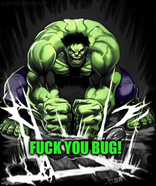 Hulk Smash | FUCK YOU BUG! | image tagged in hulk smash | made w/ Imgflip meme maker