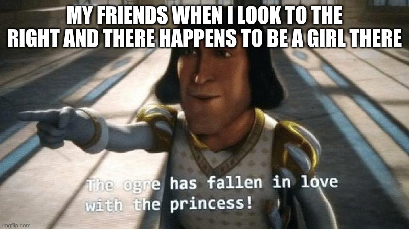 The Ogre Has Fallen in Love with the Princess | MY FRIENDS WHEN I LOOK TO THE RIGHT AND THERE HAPPENS TO BE A GIRL THERE | image tagged in the ogre has fallen in love with the princess | made w/ Imgflip meme maker
