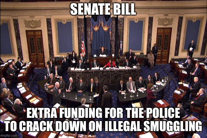 Senate bill | SENATE BILL; EXTRA FUNDING FOR THE POLICE TO CRACK DOWN ON ILLEGAL SMUGGLING | image tagged in senate floor | made w/ Imgflip meme maker