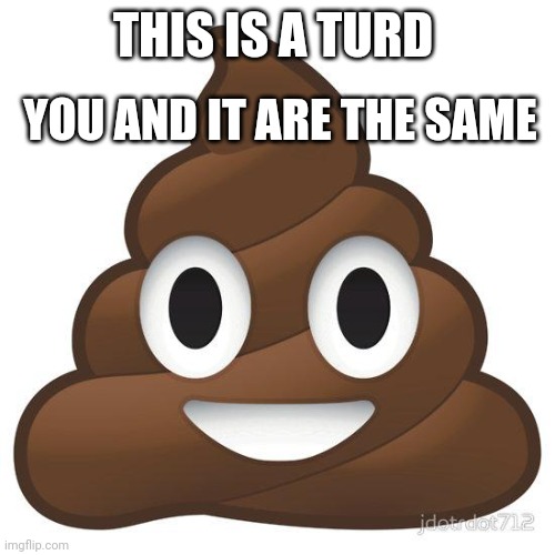 poop | THIS IS A TURD YOU AND IT ARE THE SAME | image tagged in poop | made w/ Imgflip meme maker