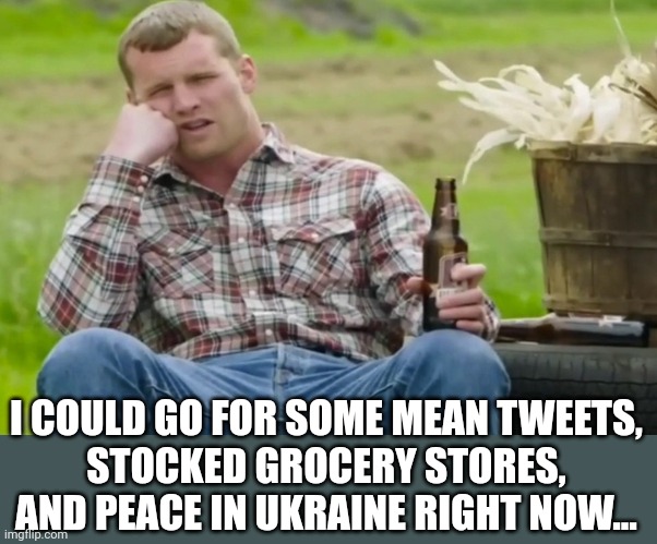 Wayne I could watch | I COULD GO FOR SOME MEAN TWEETS,
STOCKED GROCERY STORES, AND PEACE IN UKRAINE RIGHT NOW... | image tagged in wayne i could watch | made w/ Imgflip meme maker