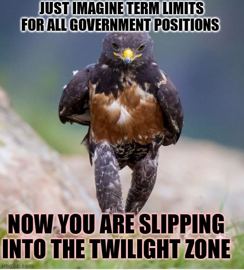 I Want to Fly Away | JUST IMAGINE TERM LIMITS FOR ALL GOVERNMENT POSITIONS; NOW YOU ARE SLIPPING INTO THE TWILIGHT ZONE | image tagged in wondering wandering falcon,multiverse,futurama fry,caveman,ill just wait here | made w/ Imgflip meme maker