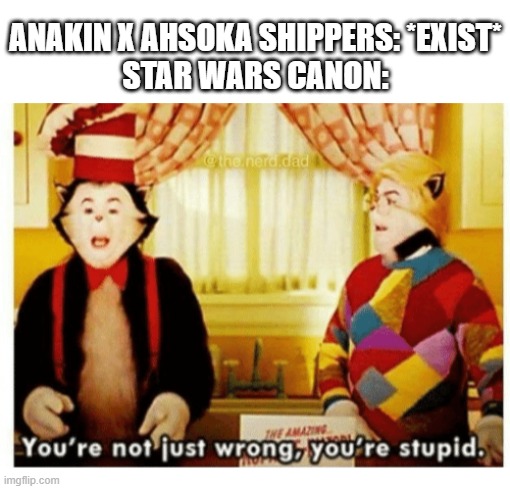 Canonically, Anakin married Padme before he even met Ahsoka | ANAKIN X AHSOKA SHIPPERS: *EXIST*
STAR WARS CANON: | image tagged in you're not just wrong your stupid,star wars,ahsoka,canon | made w/ Imgflip meme maker