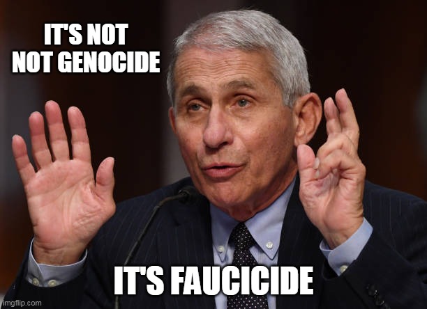 Not genocide | IT'S NOT
NOT GENOCIDE; IT'S FAUCICIDE | image tagged in anthony fauci | made w/ Imgflip meme maker