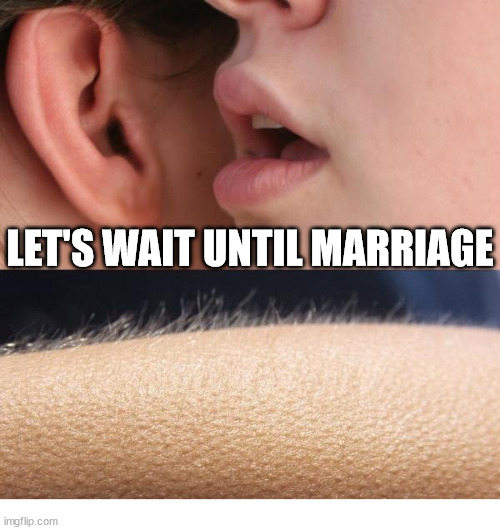 The real challenge | LET'S WAIT UNTIL MARRIAGE | image tagged in whisper and goosebumps,dank,christian,memes,r/dankchristianmemes | made w/ Imgflip meme maker