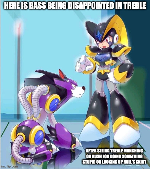 Bass Calling Treble Out | HERE IS BASS BEING DISAPPOINTED IN TREBLE; AFTER SEEING TREBLE MUNCHING ON RUSH FOR DOING SOMETHING STUPID OR LOOKING UP ROLL'S SKIRT | image tagged in memes,bass,treble,megaman | made w/ Imgflip meme maker
