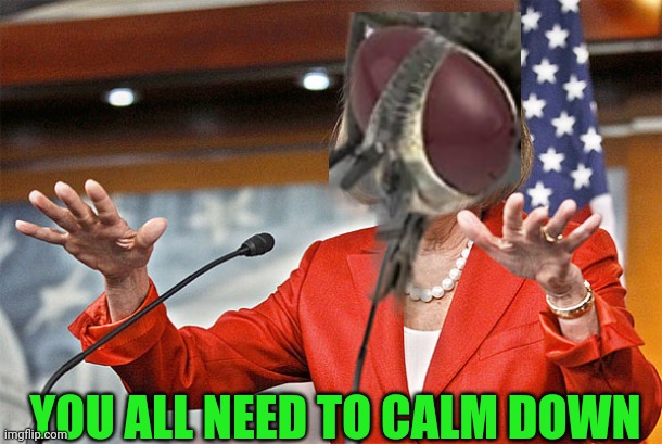 Nancy Pelosi is crazy | YOU ALL NEED TO CALM DOWN | image tagged in nancy pelosi is crazy | made w/ Imgflip meme maker