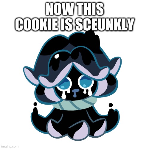 NOW THIS COOKIE IS SCEUNKLY | made w/ Imgflip meme maker