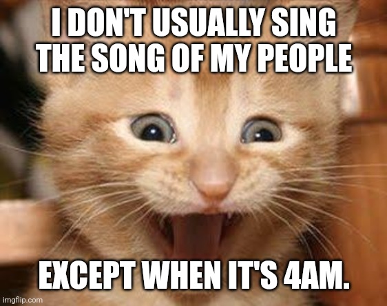 The song of my people | I DON'T USUALLY SING THE SONG OF MY PEOPLE; EXCEPT WHEN IT'S 4AM. | image tagged in memes,excited cat,song,meow,late night | made w/ Imgflip meme maker