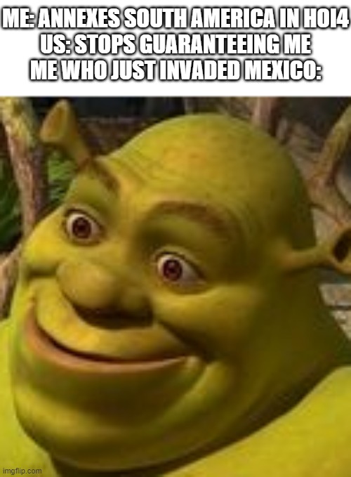 only hoi4 players will understand | ME: ANNEXES SOUTH AMERICA IN HOI4
US: STOPS GUARANTEEING ME
ME WHO JUST INVADED MEXICO: | image tagged in shrek face | made w/ Imgflip meme maker