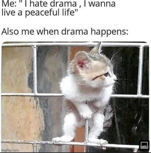image tagged in drama,peaceful | made w/ Imgflip meme maker