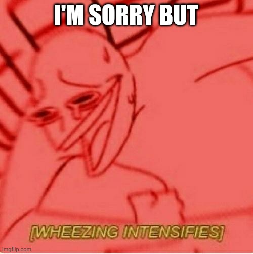 Wheeze | I'M SORRY BUT | image tagged in wheeze | made w/ Imgflip meme maker