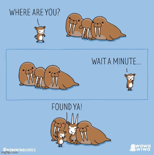 You has been found | image tagged in goat | made w/ Imgflip meme maker