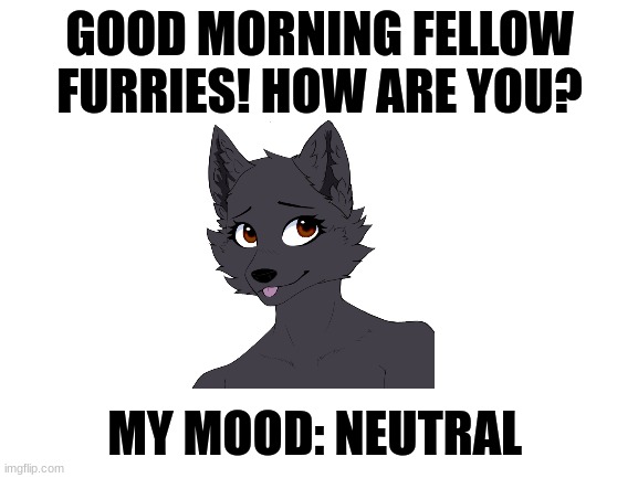 Hello! | GOOD MORNING FELLOW FURRIES! HOW ARE YOU? MY MOOD: NEUTRAL | image tagged in blank white template,furry,furries | made w/ Imgflip meme maker