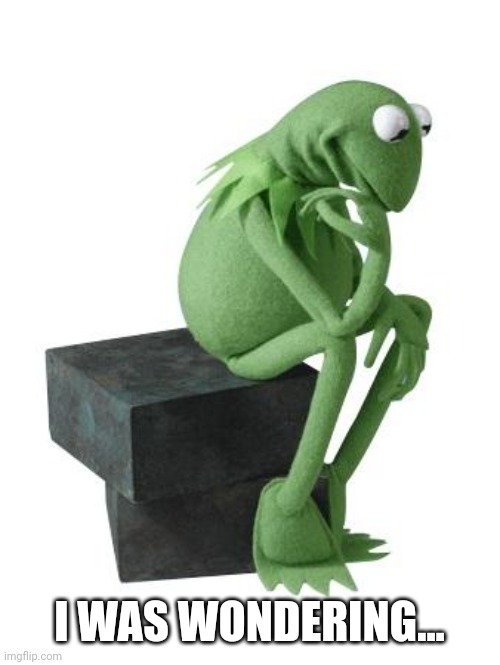 Philosophy Kermit | I WAS WONDERING... | image tagged in philosophy kermit | made w/ Imgflip meme maker