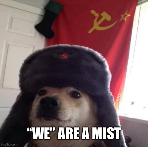 Russian Doge | “WE” ARE A MISTAKE | image tagged in russian doge | made w/ Imgflip meme maker