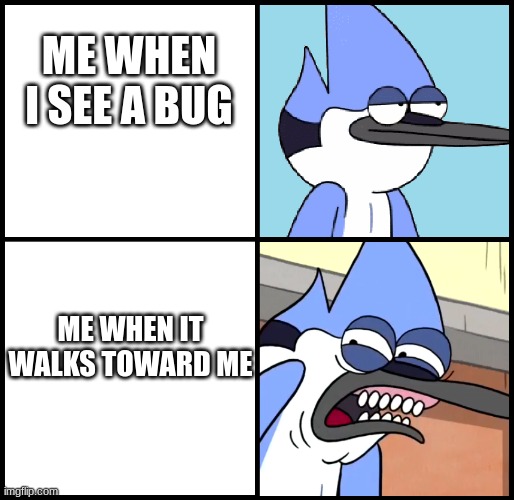 Mordecai disgusted | ME WHEN I SEE A BUG; ME WHEN IT WALKS TOWARD ME | image tagged in mordecai disgusted | made w/ Imgflip meme maker