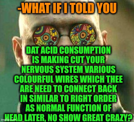 -My piece of formatting. | DAT ACID CONSUMPTION IS MAKING CUT YOUR NERVOUS SYSTEM VARIOUS COLOURFUL WIRES WHICH THEE ARE NEED TO CONNECT BACK IN SIMILAR TO RIGHT ORDER AS NORMAL FUNCTION OF HEAD LATER, NO SHOW GREAT CRAZY? -WHAT IF I TOLD YOU | image tagged in acid kicks in morpheus,don't do drugs,crazy man,what if i told you,the wire,i said go back | made w/ Imgflip meme maker