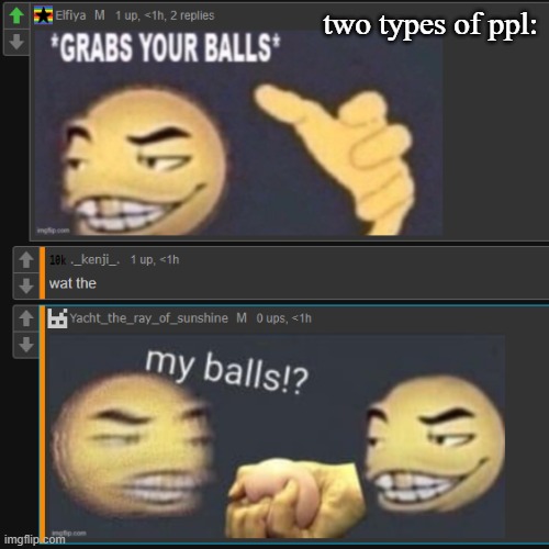 two types of ppl: | made w/ Imgflip meme maker