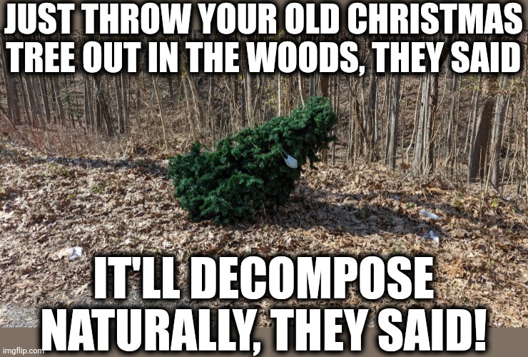 That artificial Christmas tree has been there for two months | JUST THROW YOUR OLD CHRISTMAS TREE OUT IN THE WOODS, THEY SAID; IT'LL DECOMPOSE NATURALLY, THEY SAID! | image tagged in memes,christmas tree,artificial,woods,decompose,lies | made w/ Imgflip meme maker