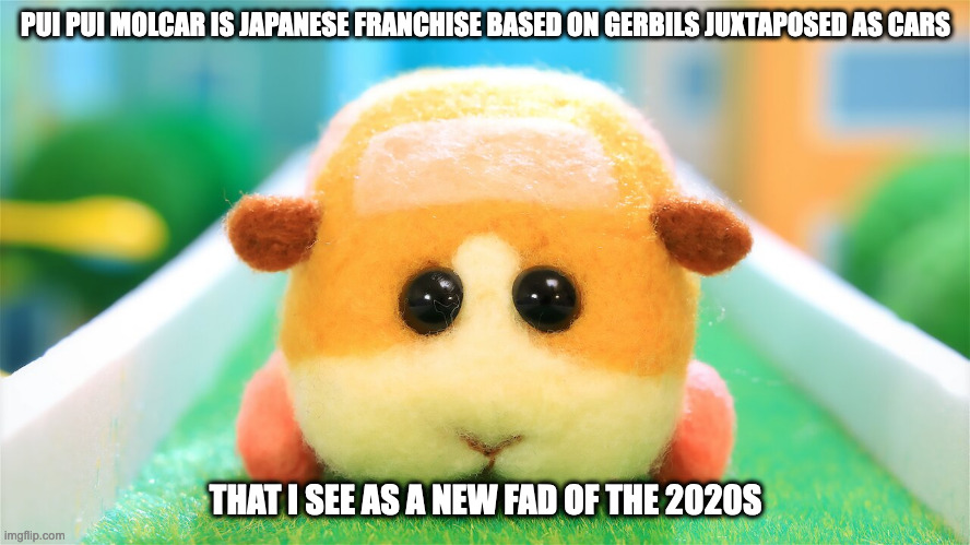 Pui Pui Molcar | PUI PUI MOLCAR IS JAPANESE FRANCHISE BASED ON GERBILS JUXTAPOSED AS CARS; THAT I SEE AS A NEW FAD OF THE 2020S | image tagged in gerbil,memes,fad | made w/ Imgflip meme maker