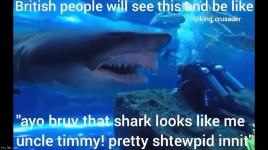 pretty stewpid innit | image tagged in shitpost status | made w/ Imgflip meme maker