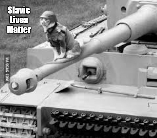 army cat | Slavic Lives Matter | image tagged in army cat,slavic lives matter | made w/ Imgflip meme maker