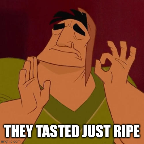 When X just right | THEY TASTED JUST RIPE | image tagged in when x just right | made w/ Imgflip meme maker