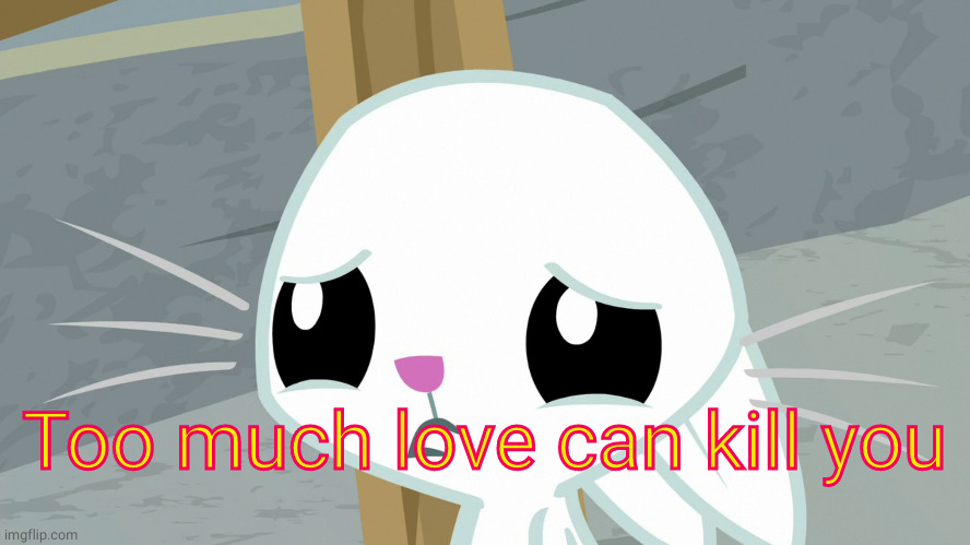 Sad Angel Bunny (MLP) | Too much love can kill you | image tagged in sad angel bunny mlp | made w/ Imgflip meme maker