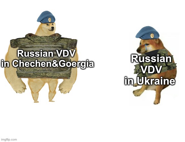 image tagged in ukraine,memes,buff doge vs cheems | made w/ Imgflip meme maker